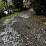 347268374_1376179856497575_1192043032202136481_n